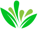 Revive logo